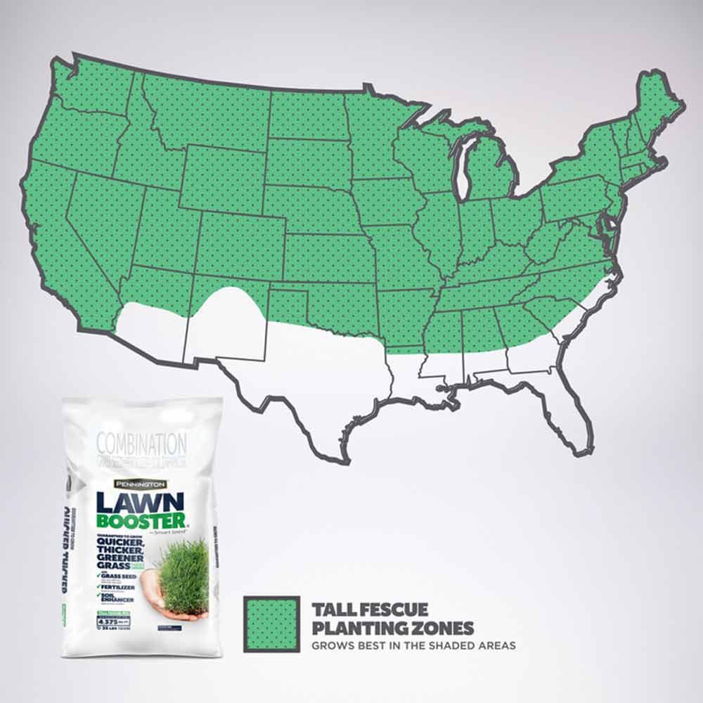 LawnBooster-Fescue-35lb-04
