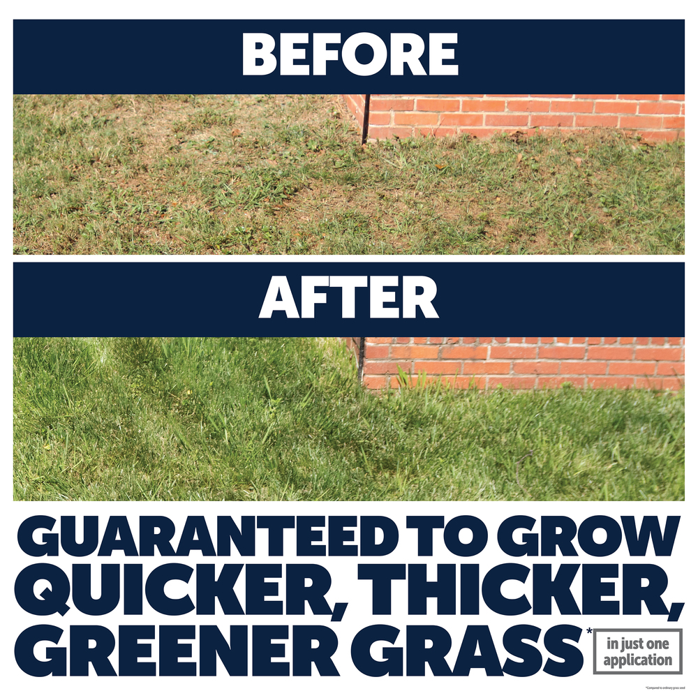 PE-Lawn-Booster-Tall-Fescue_1