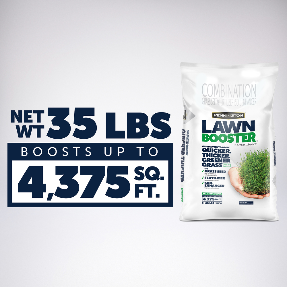 PE-Lawn-Booster-Tall-Fescue_6