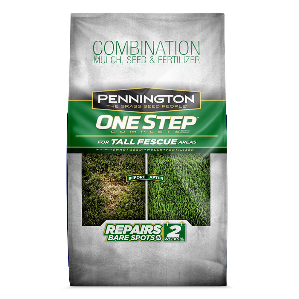 Kentucky 31 Tall Fescue Grass Seed Pennington kentucky-31-tall-fescue-grass-seed-pennington