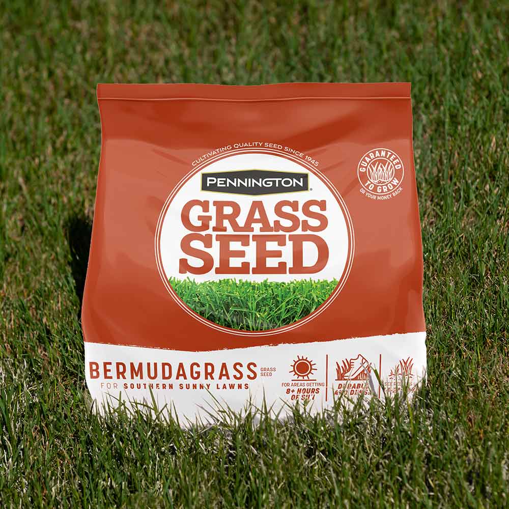 Bermudagrass-Grass-Seed-Alt-Images-11