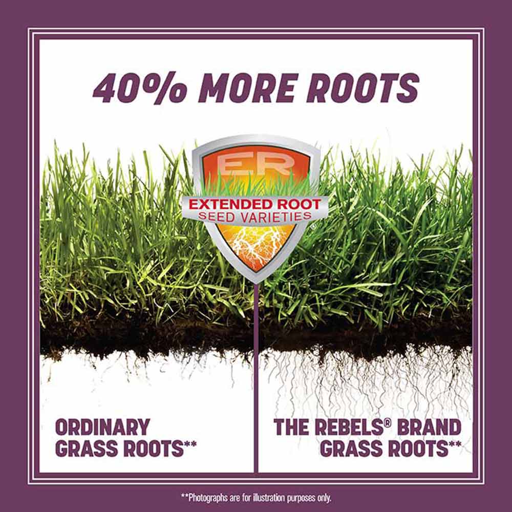 strong-grass-roots