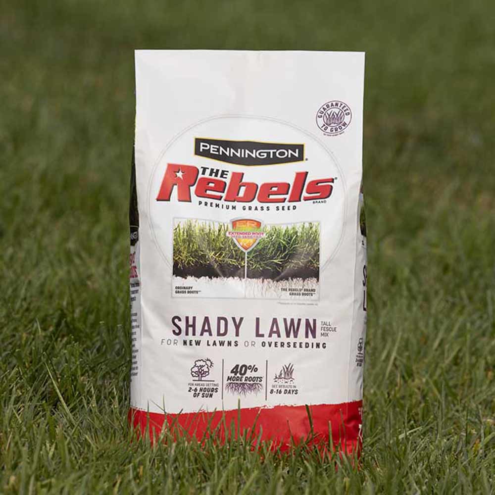 rebels-bag