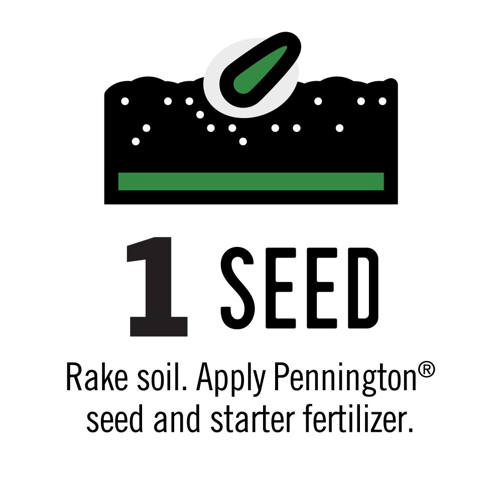 pennington netless seed mat