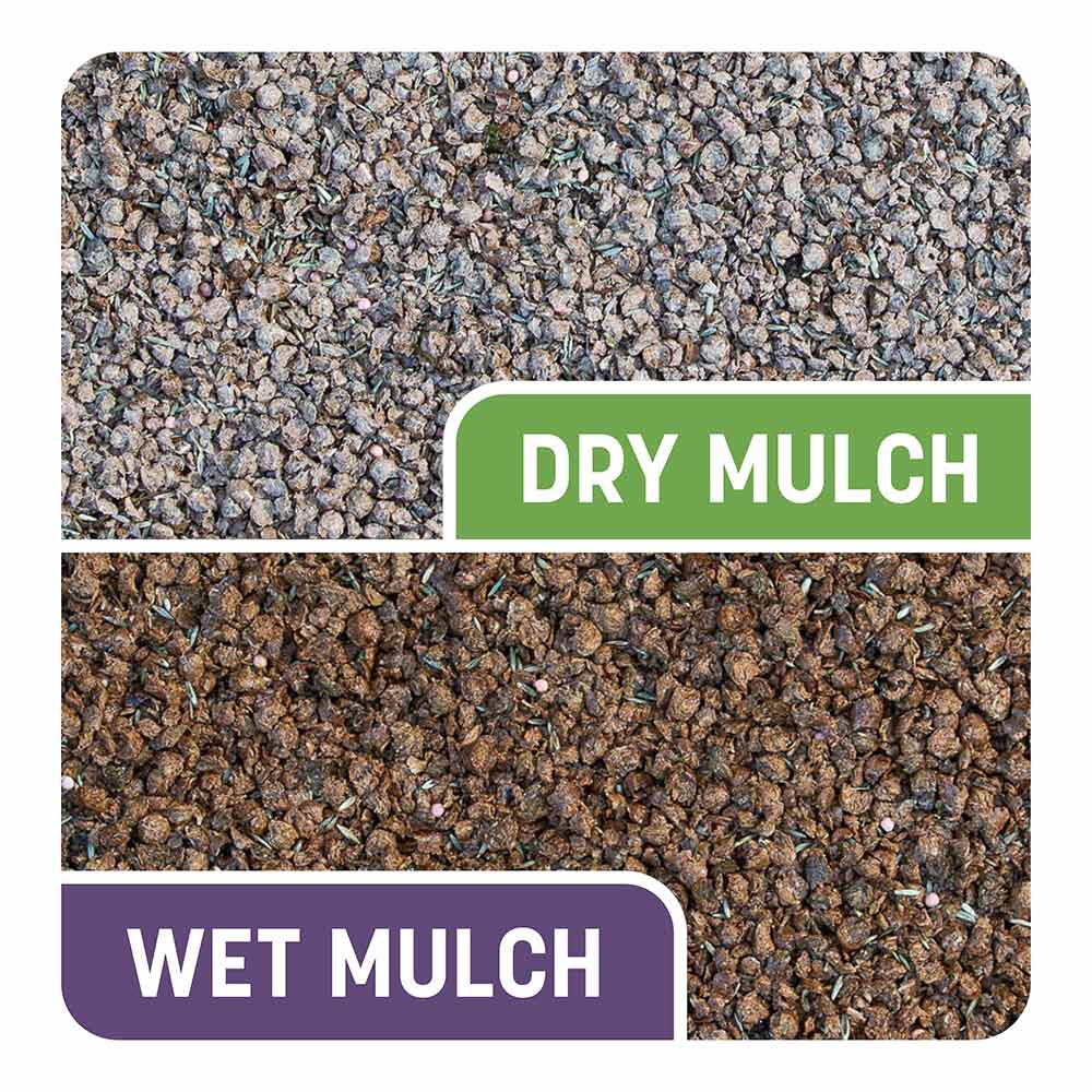 Smart-Patch-Dense-Shade-12