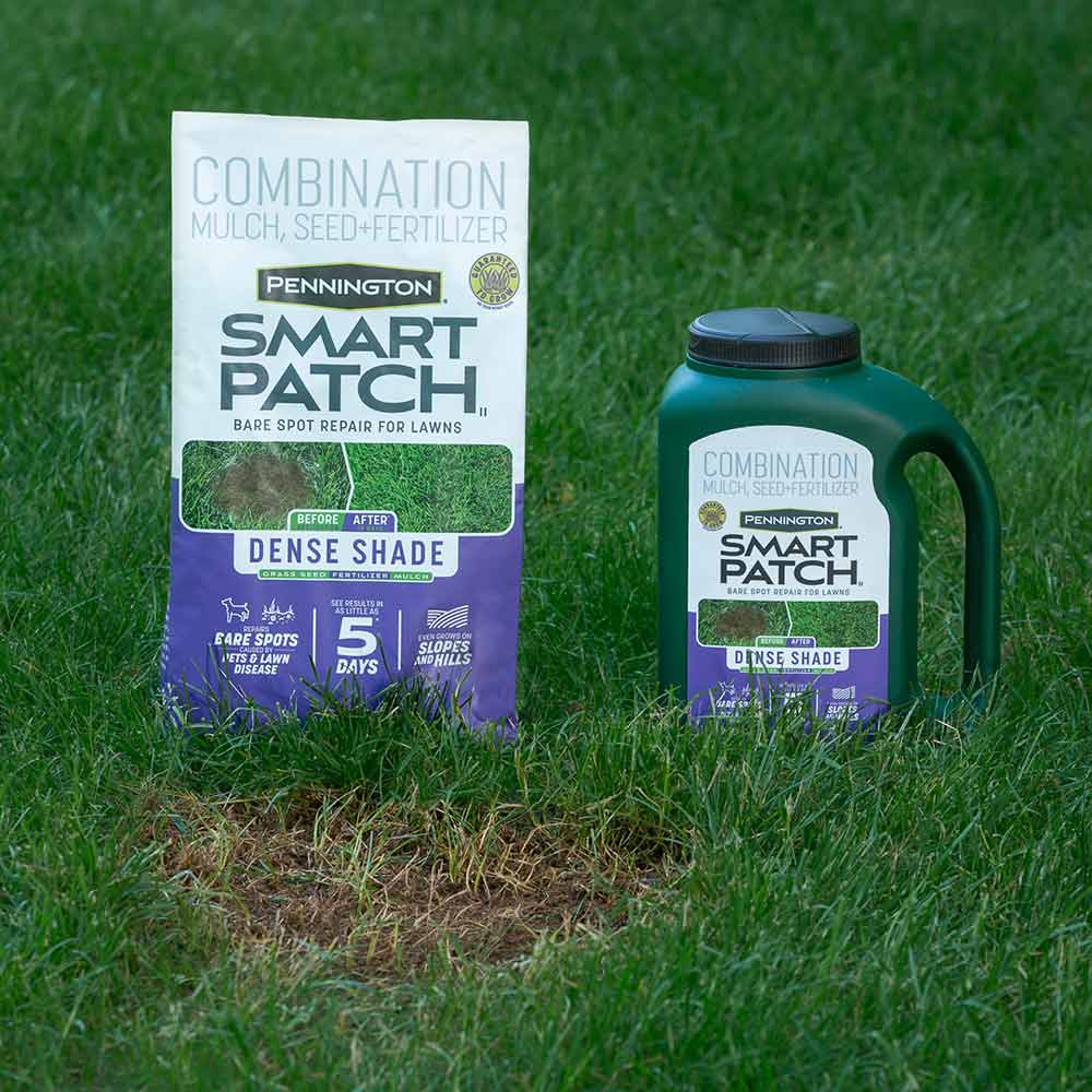 Smart-Patch-Dense-Shade-13