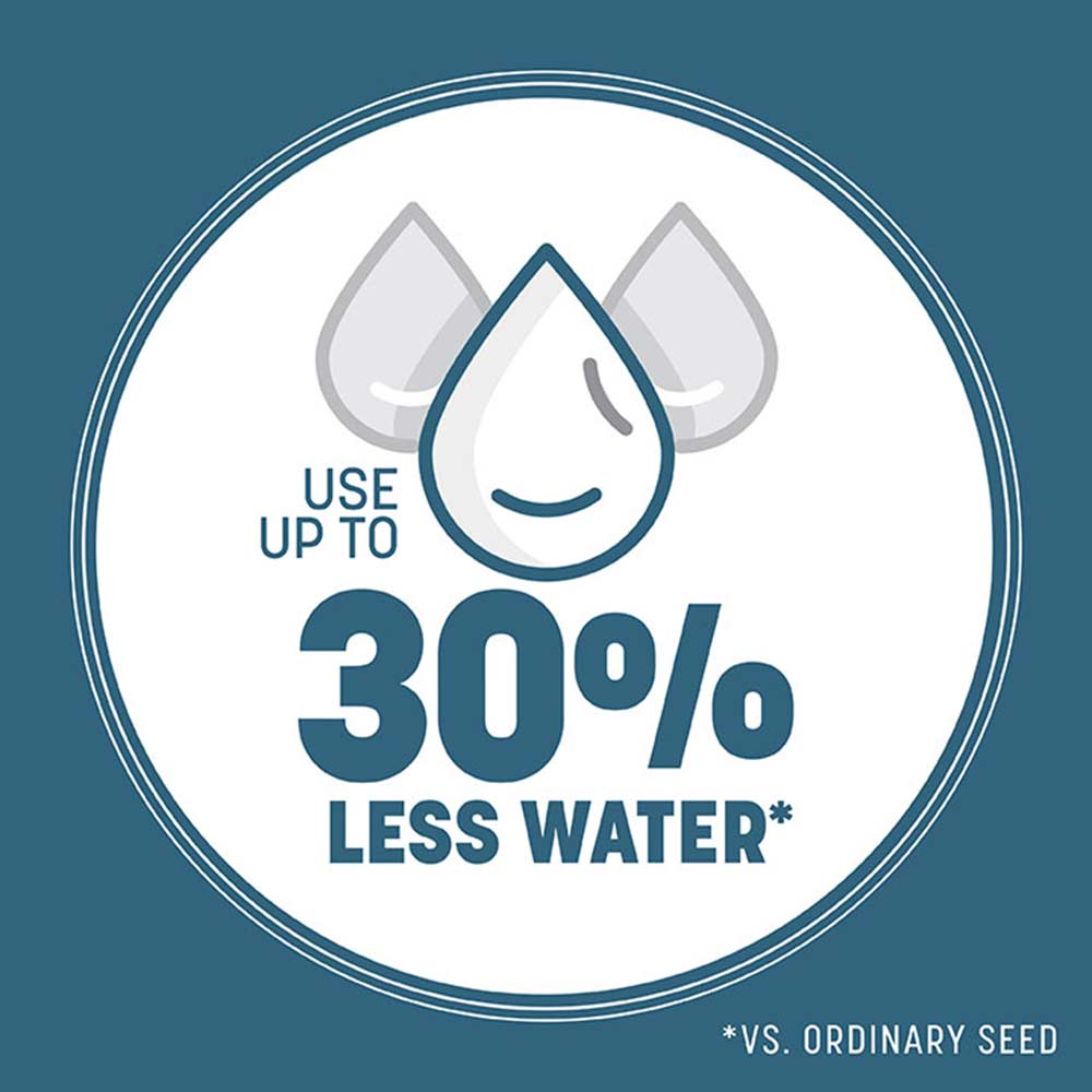 water-saving-grass-seed