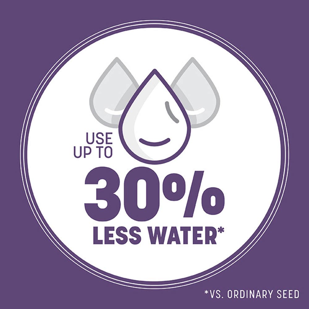 grass-seed-that-saves-water