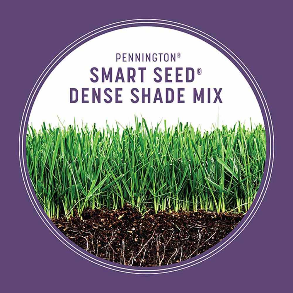 smart-seed-dense-shade-growth