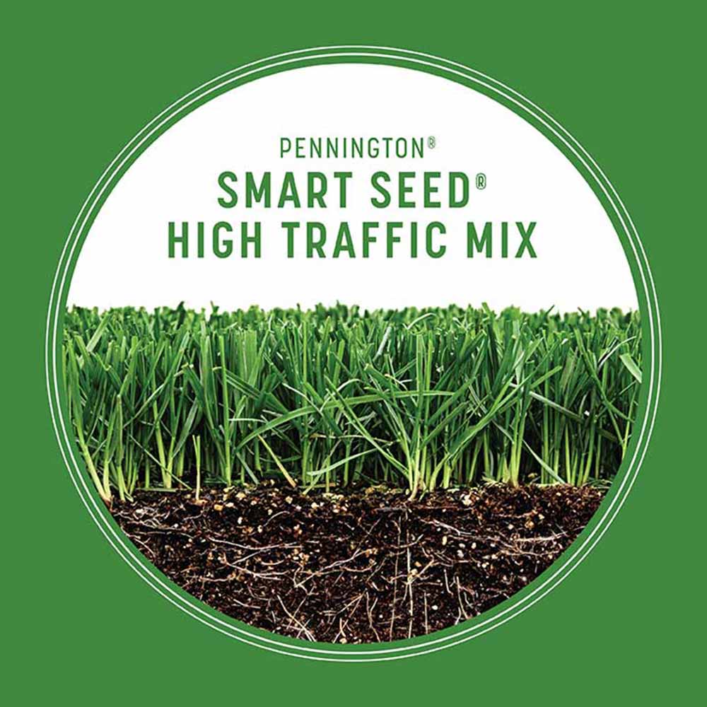 smart-seed-high-traffic-grass-growth