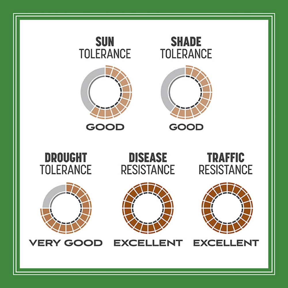 high-traffic-grass-tolerance