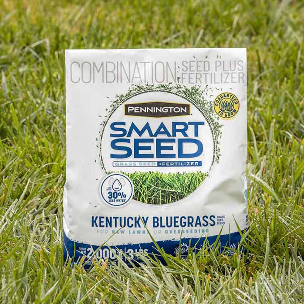 kentucky-bluegrass-grass-seed-bag