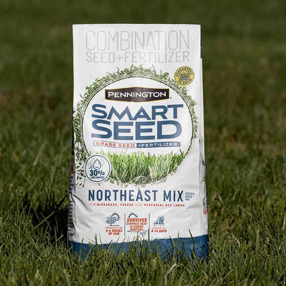 pennington-smart-seed-northeast-mix-bag