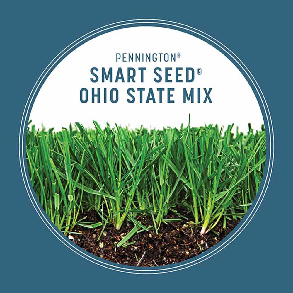 smart-seed-ohio-grass