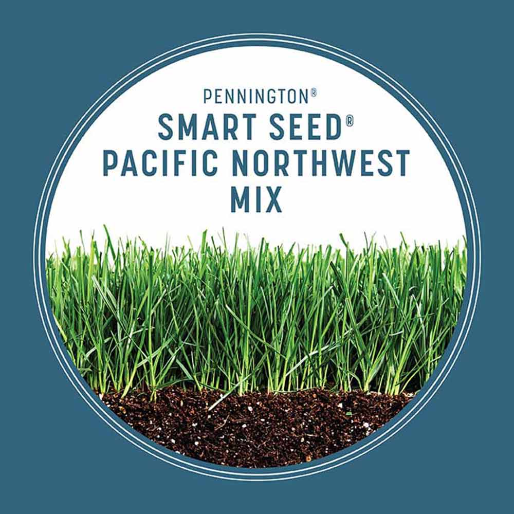 smart-seed-pacific-northwest-grass-growth