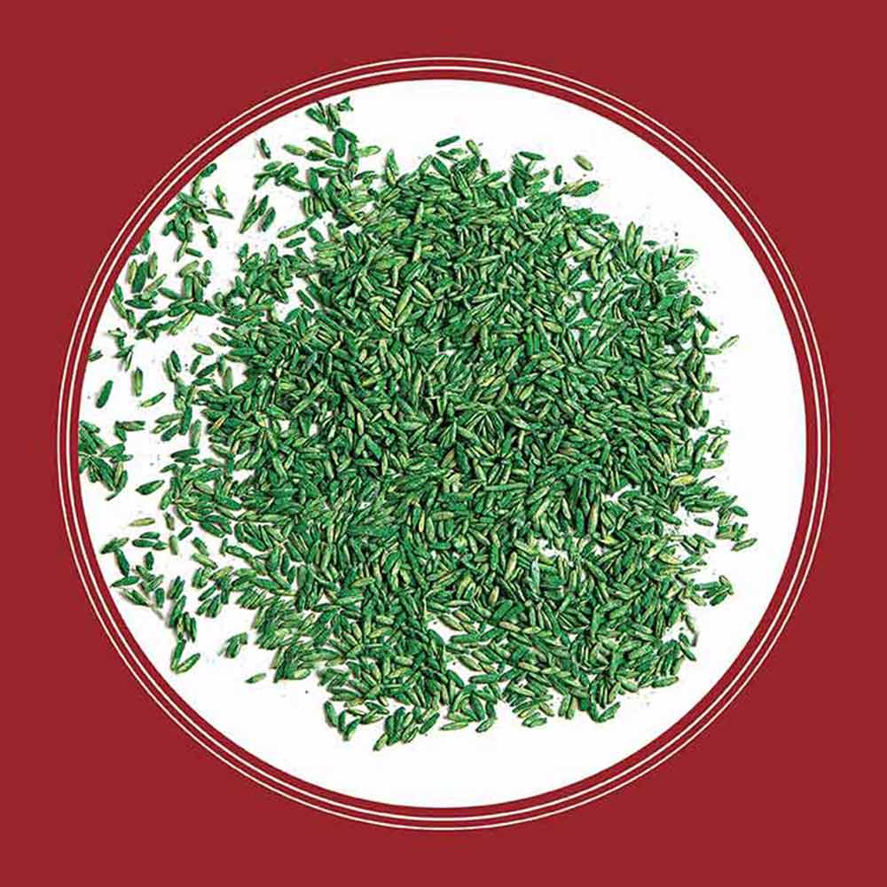 perennial-ryegrass-seed
