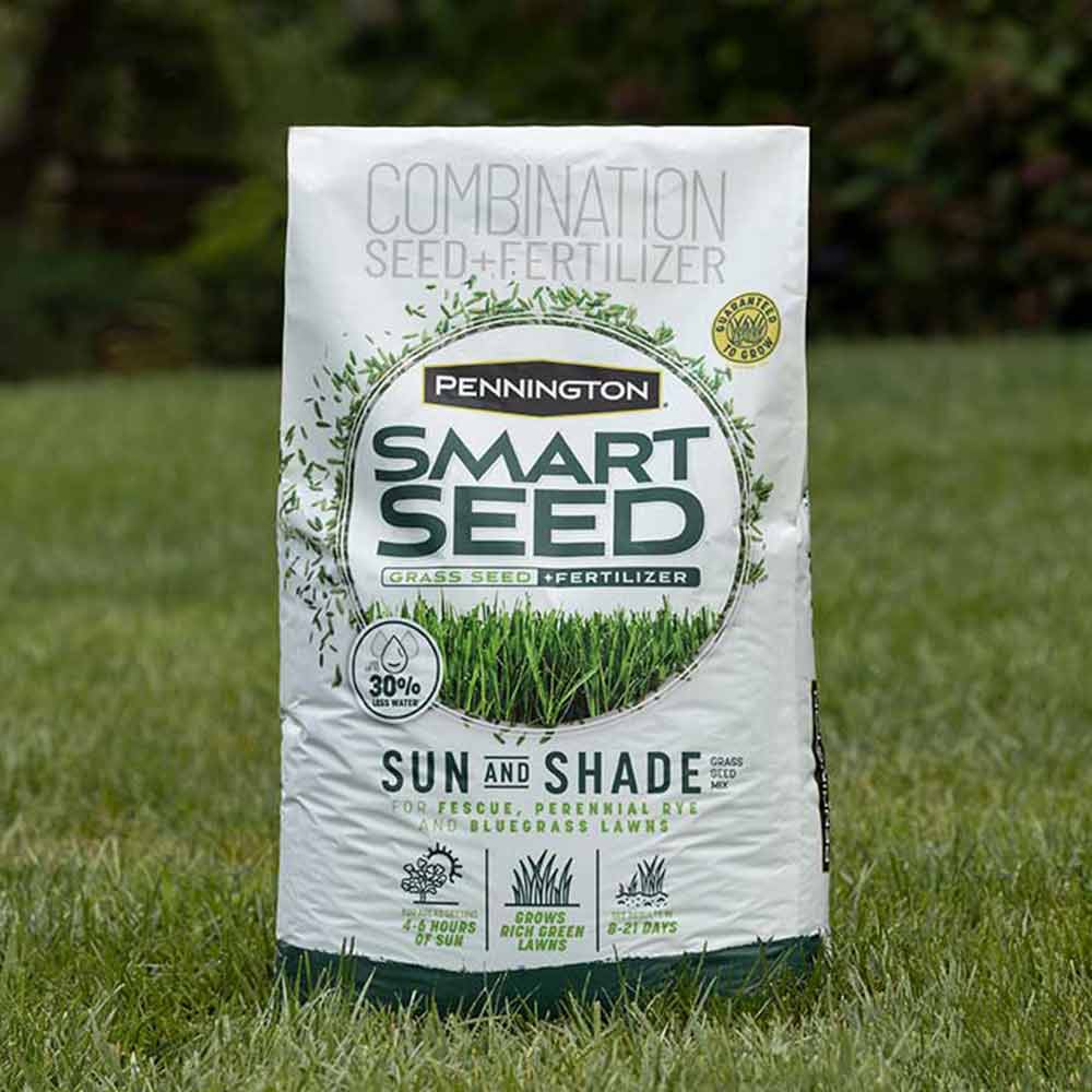 Smart-Seed-Sun-and-Shade-Grass-Seed-13