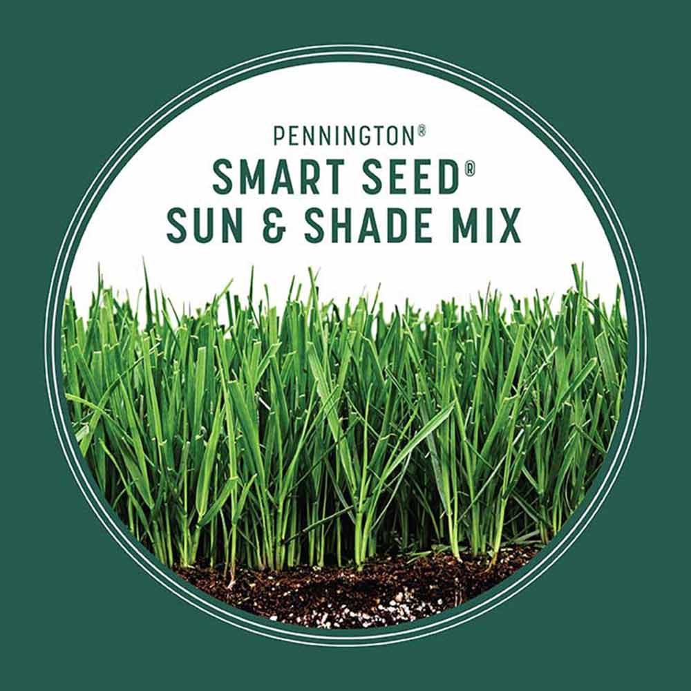 Smart-Seed-Sun-and-Shade-Grass-Seed-5