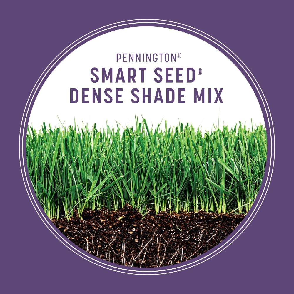 smart-dense-shade-gallery-2