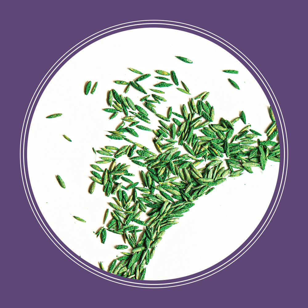 ss406-pe-smart-seed-dense-shade-grass-seed-and-fertilizer-mix-alt-images-12