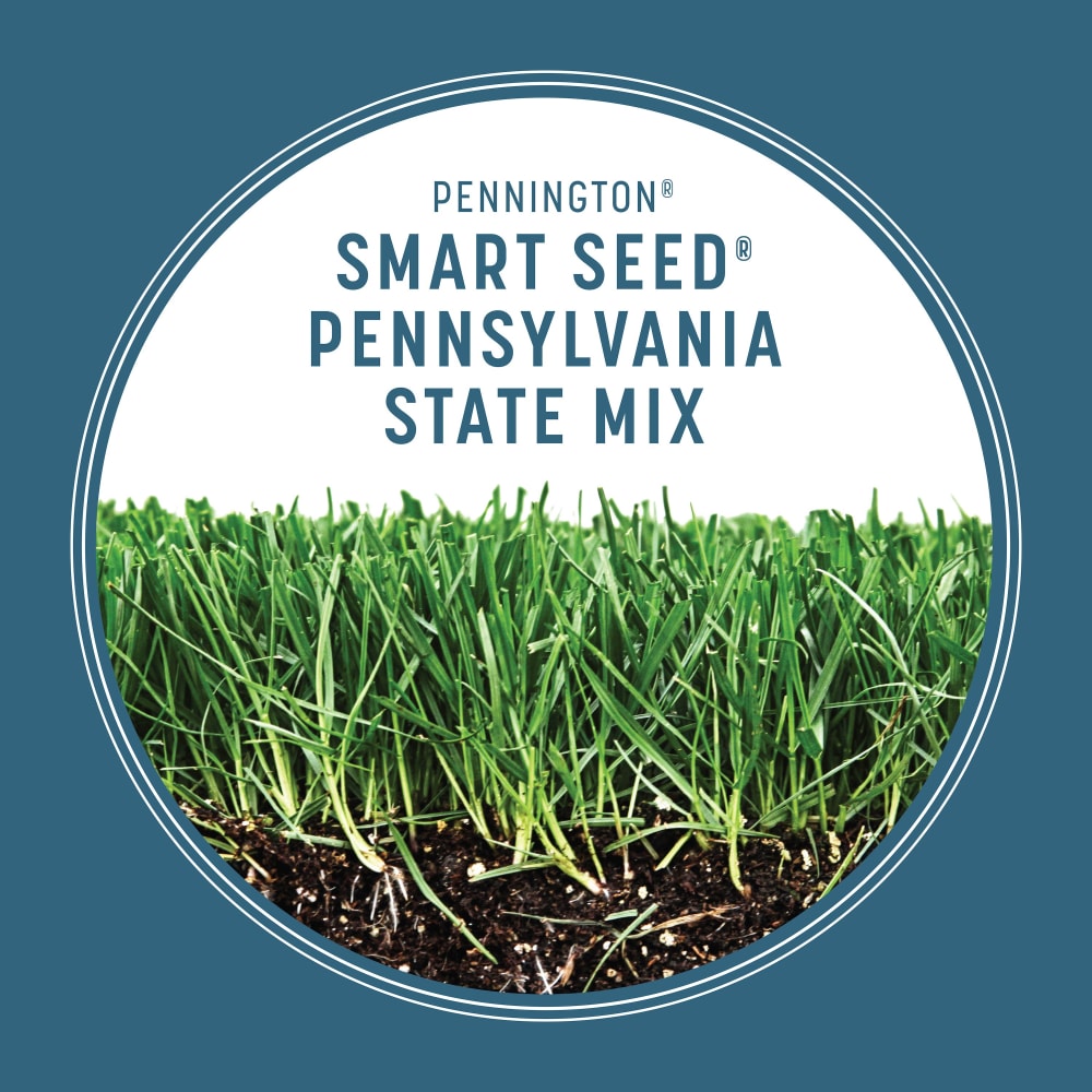 smart-seed-pennsylvania-state-mix-gallery-2