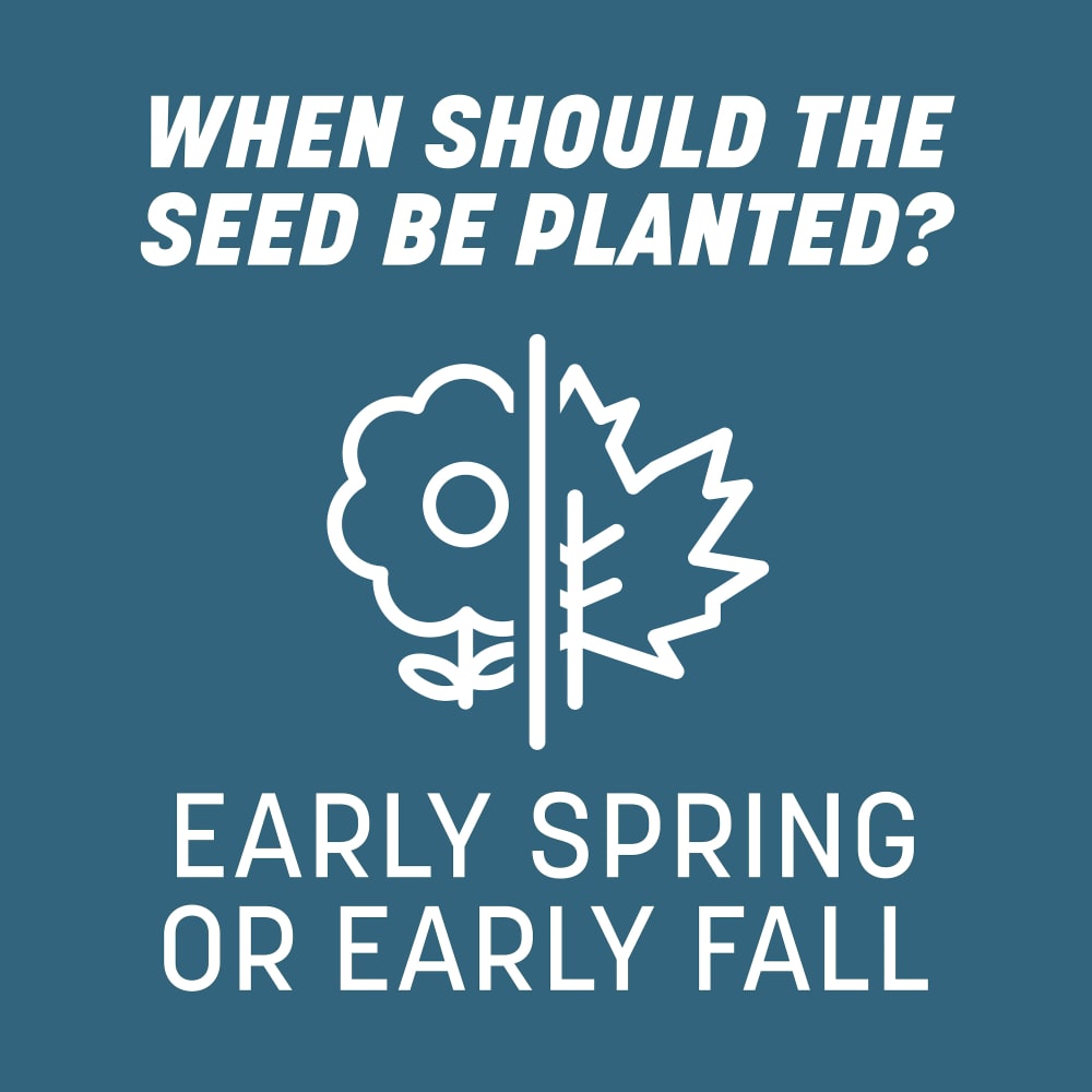 ss412-pe-smart-seed-pennsylvania-grass-seed-and-fertilizer-mix-alt-images-11