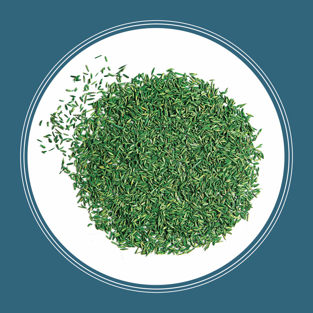 ss412-pe-smart-seed-pennsylvania-grass-seed-and-fertilizer-mix-alt-images-12