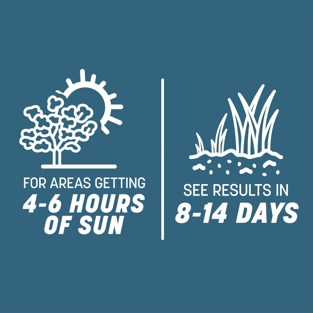 ss412-pe-smart-seed-pennsylvania-grass-seed-and-fertilizer-mix-alt-images-7