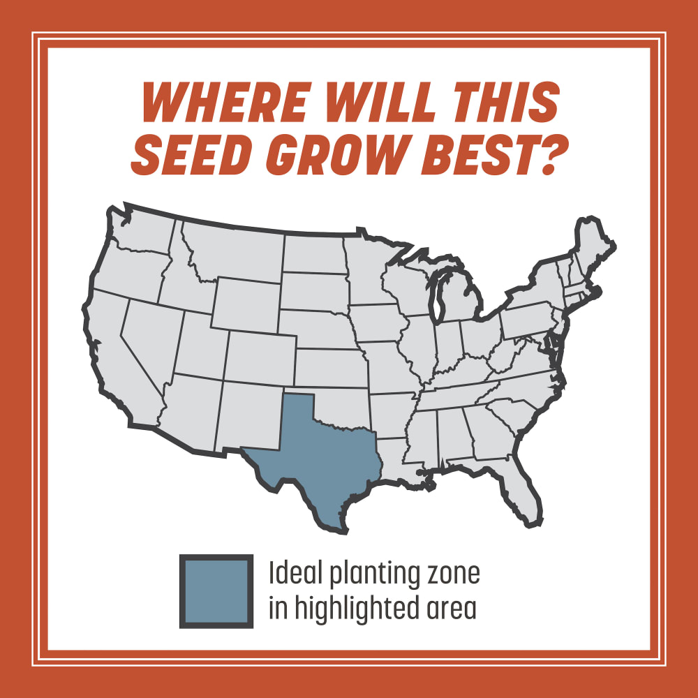 smart-seed-tx-bermudagrass-gallery-1