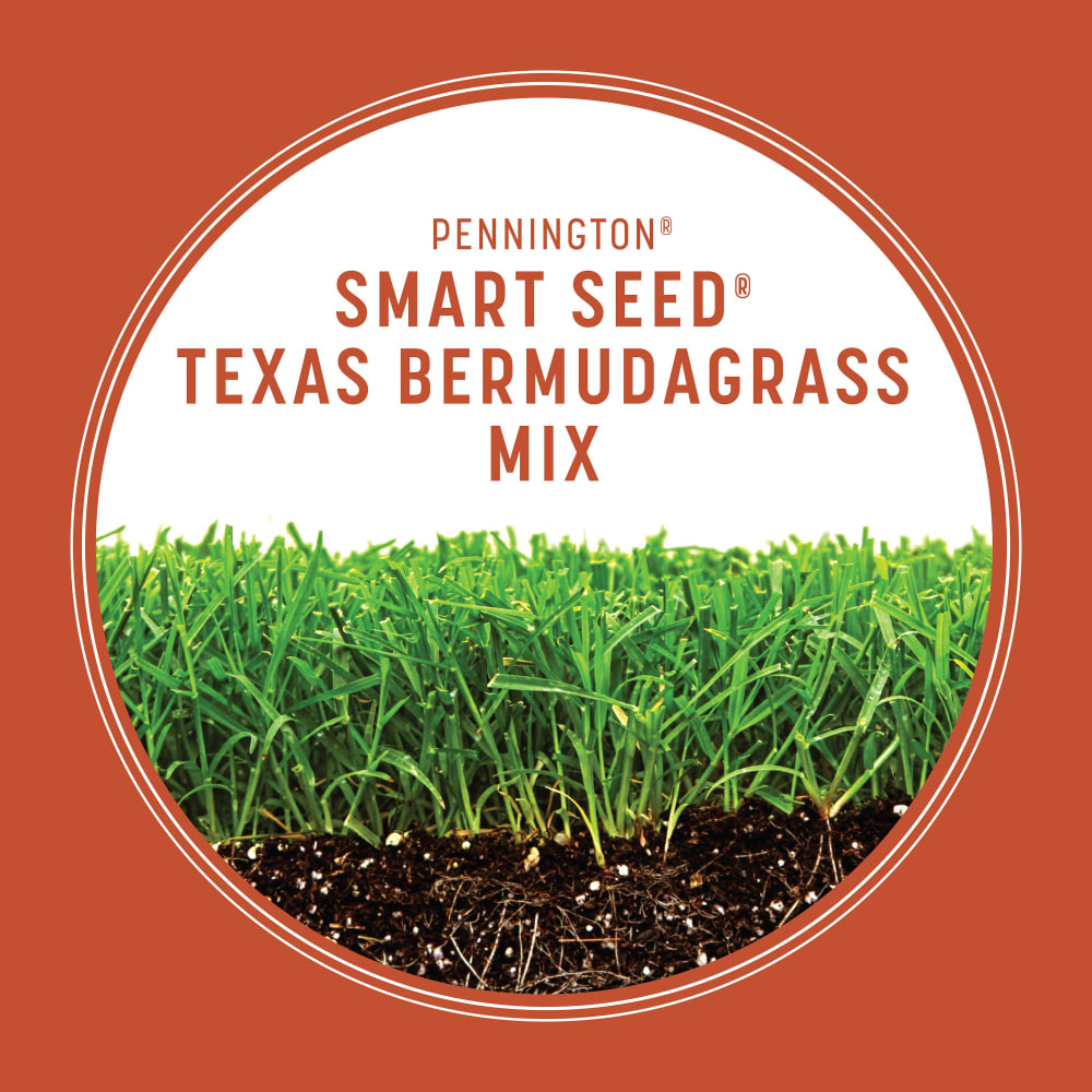 smart-seed-tx-bermudagrass-gallery-2