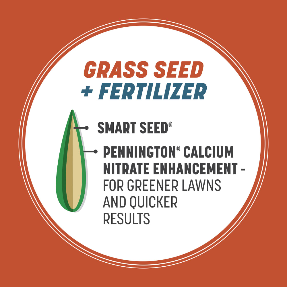 smart-seed-tx-bermudagrass-gallery-3