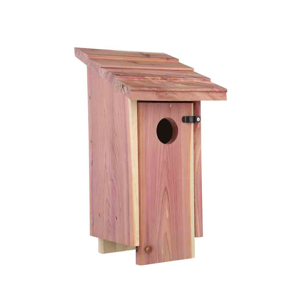 bluebird house hole size