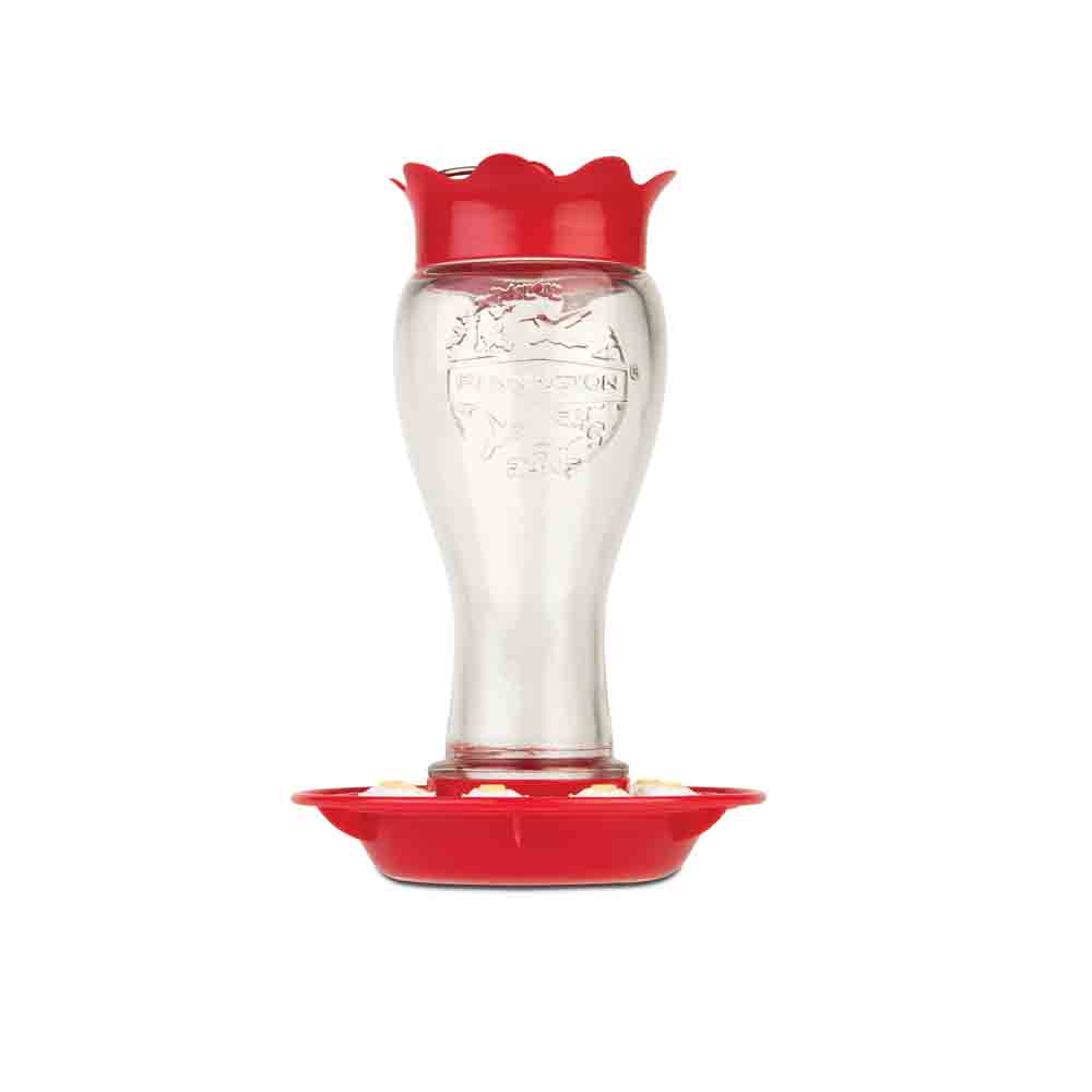 100519437-16oz-hummingbird-feeder-glass