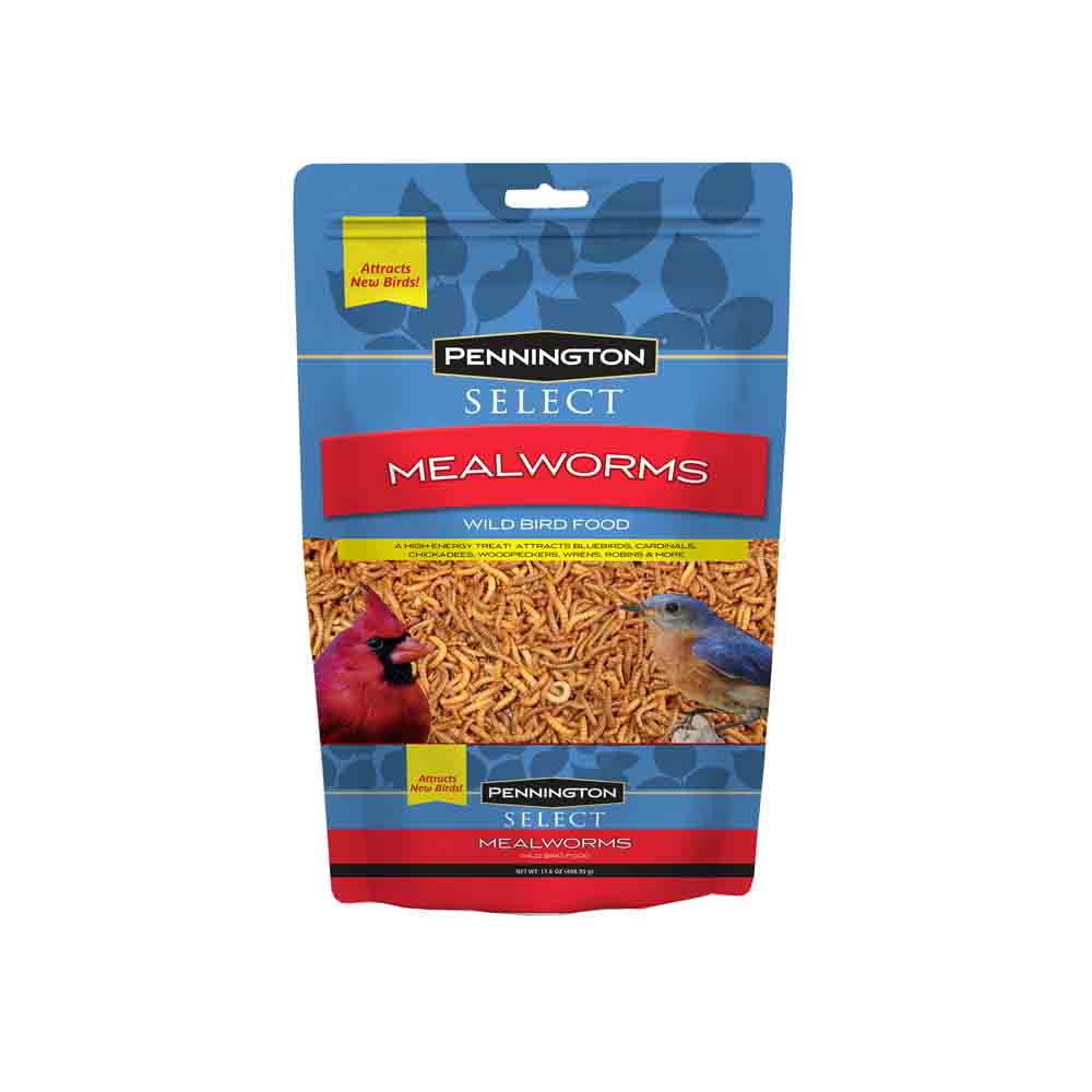 100536257-Mealworms-Pounch-bag