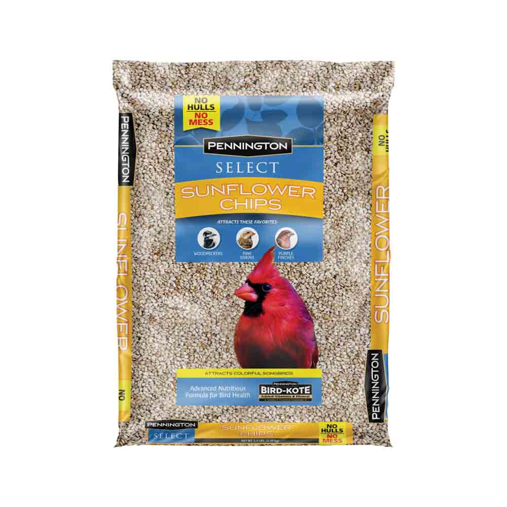 515631-Select-Sunflower-Chips-5