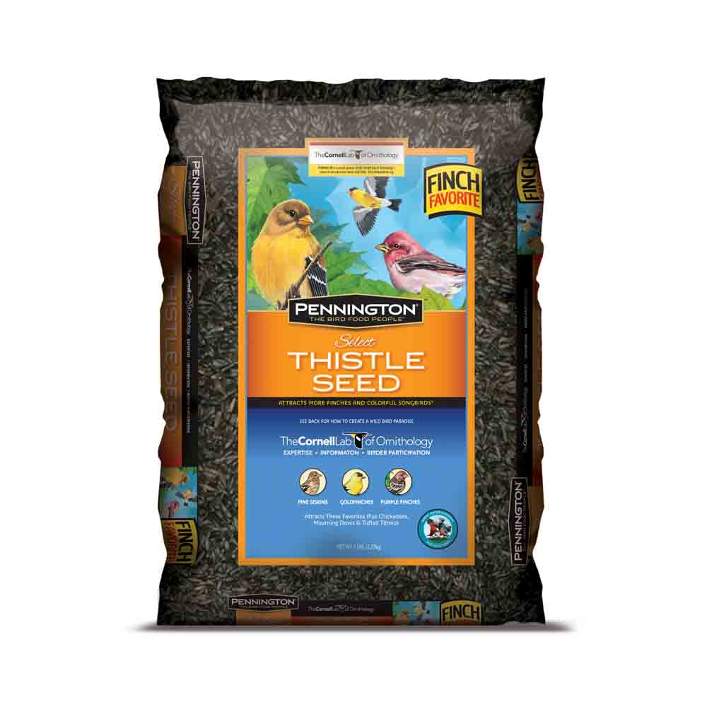 Wild Bird Food Seed Mix Birder's Blend Bulk 40lb Bag Feed Pennington Select NEW 