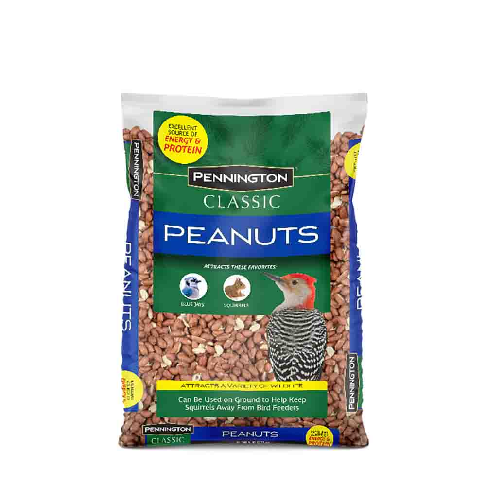 bird-feed-shelled-peanuts