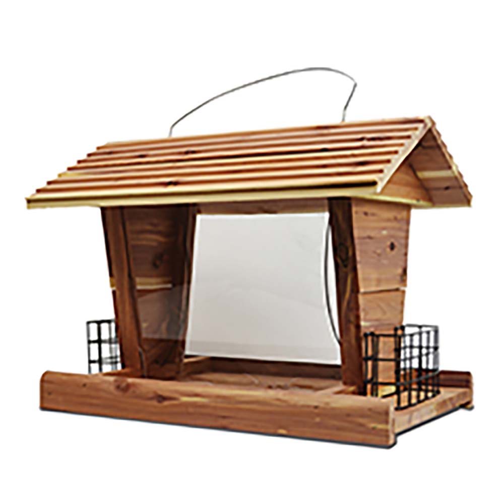bird-feeder