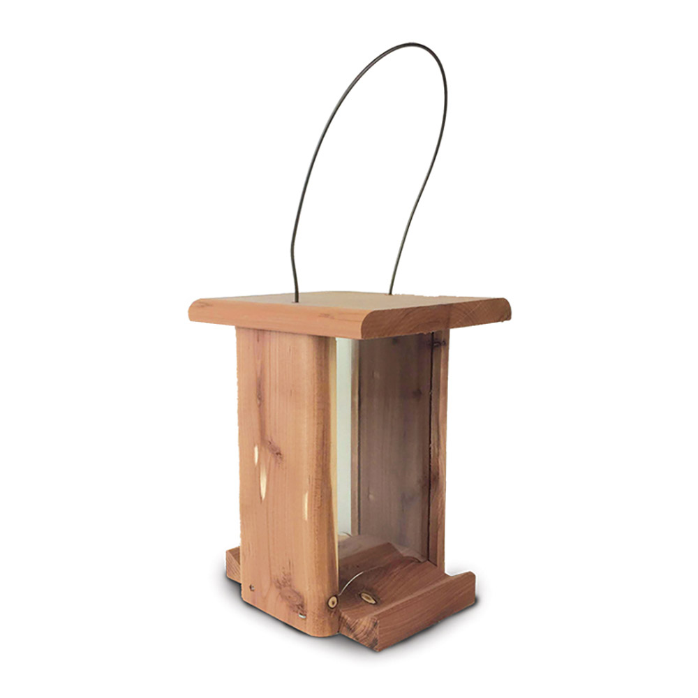 bird-feeder