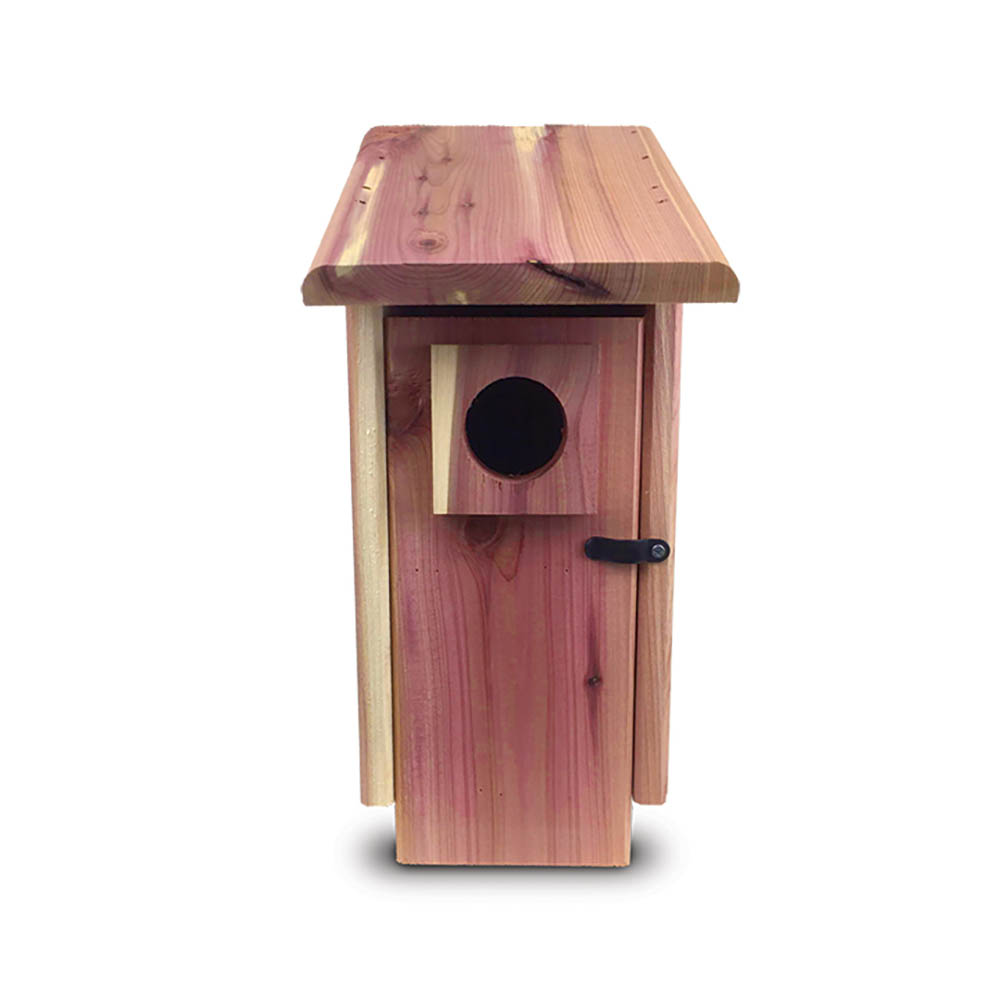 bird-house