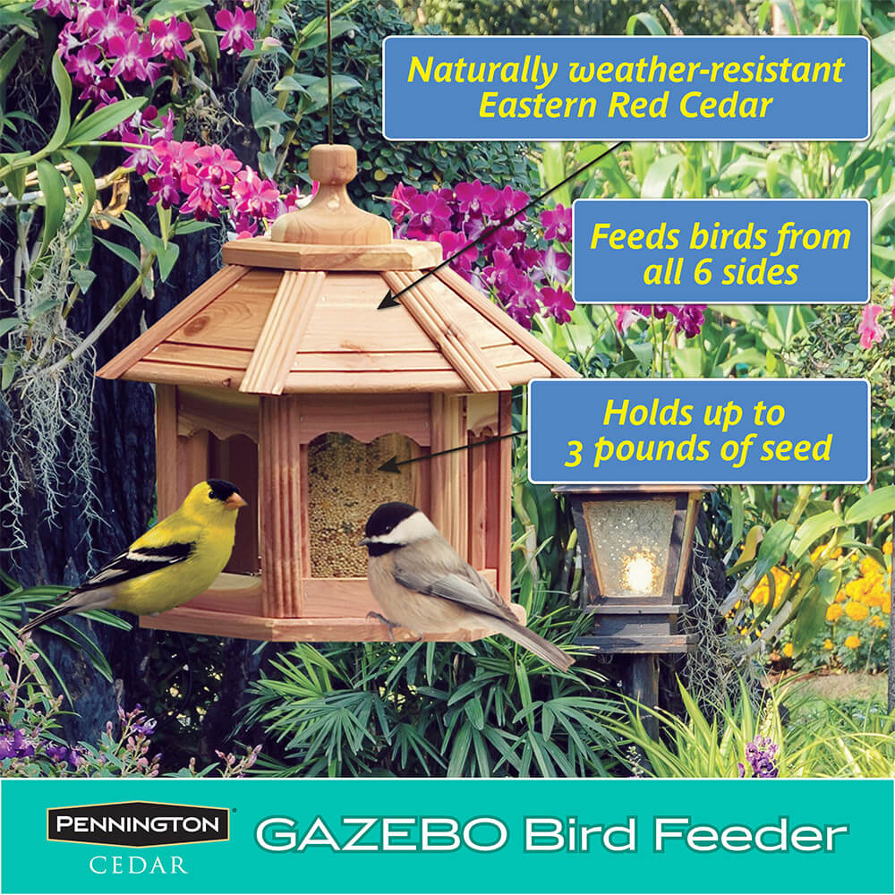 PE-Wildbird-Cedar-Gazebo-Bird-Feeder_3
