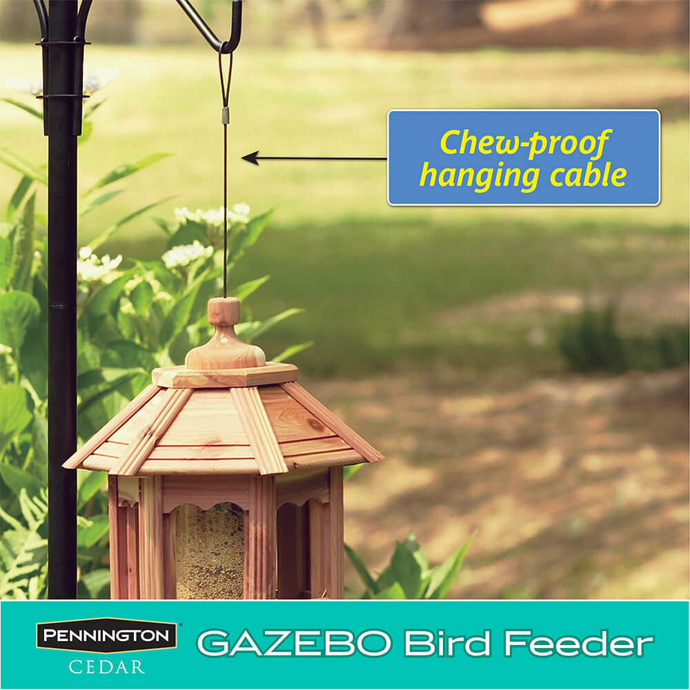 PE-Wildbird-Cedar-Gazebo-Bird-Feeder_4