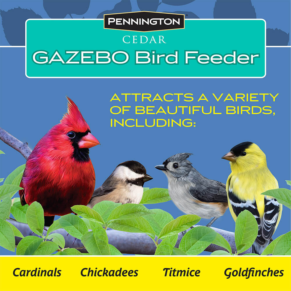 PE-Wildbird-Cedar-Gazebo-Bird-Feeder_6