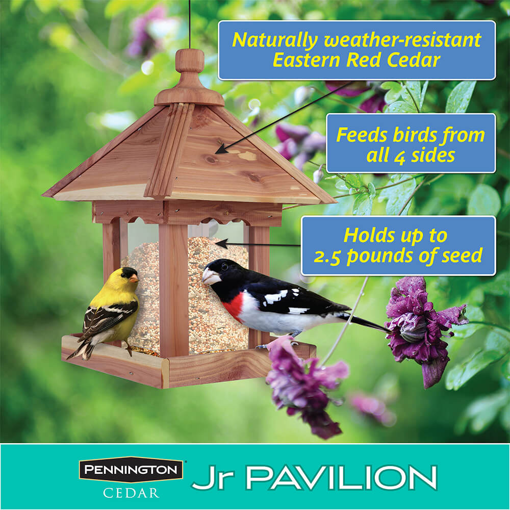PE-Wildbird-Cedar-Jr-Pavilion_3