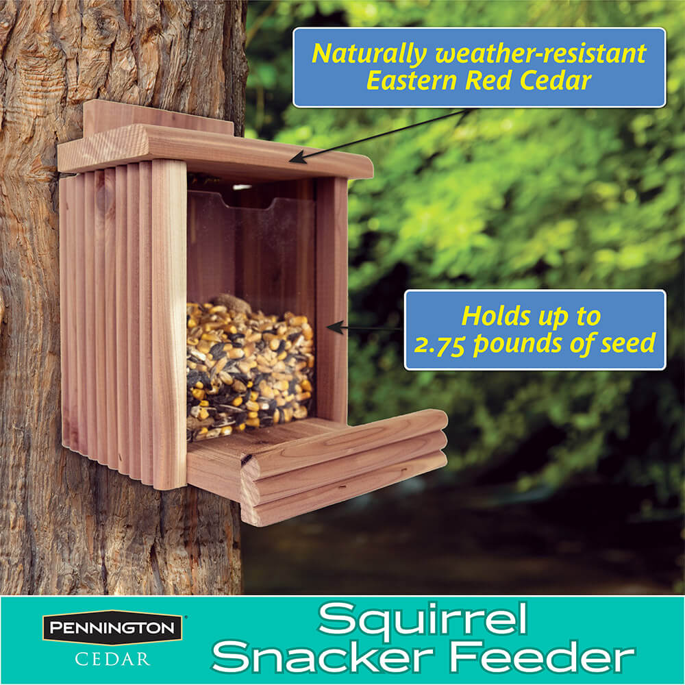 Pennington Cedar Squirrel Snacker Bird Feeder 2 Feeders in 1 Amish Made A44 for sale online 