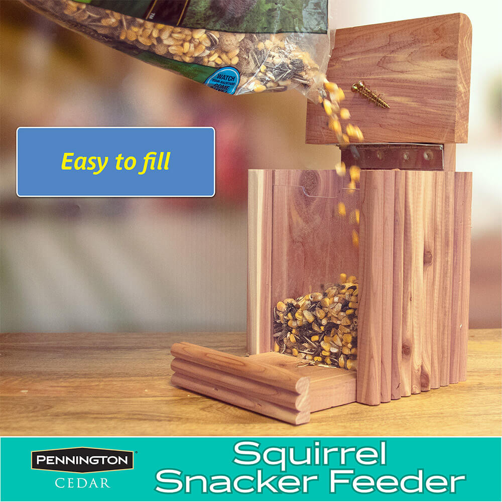 PE-Wildbird-Cedar-Squirrel-Snacker_4