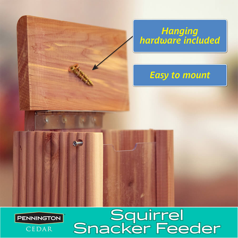 Squirrel feeder or Bird feeder 2.75 pound capacity Multi function Cedar NEW USA