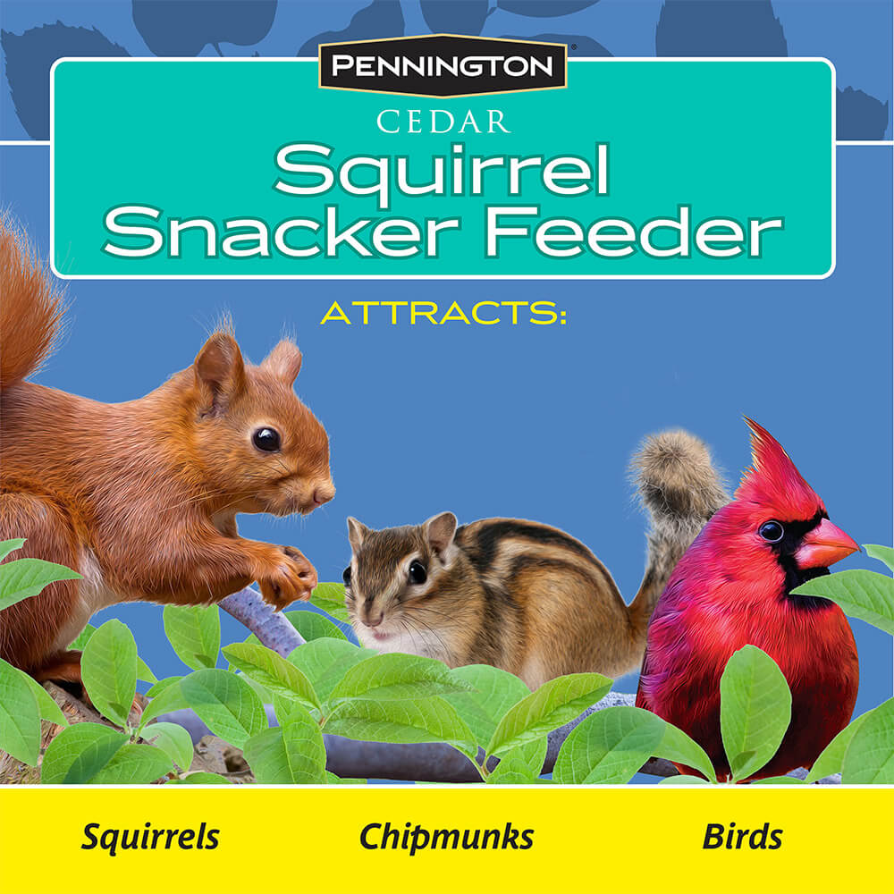 PE-Wildbird-Cedar-Squirrel-Snacker_7