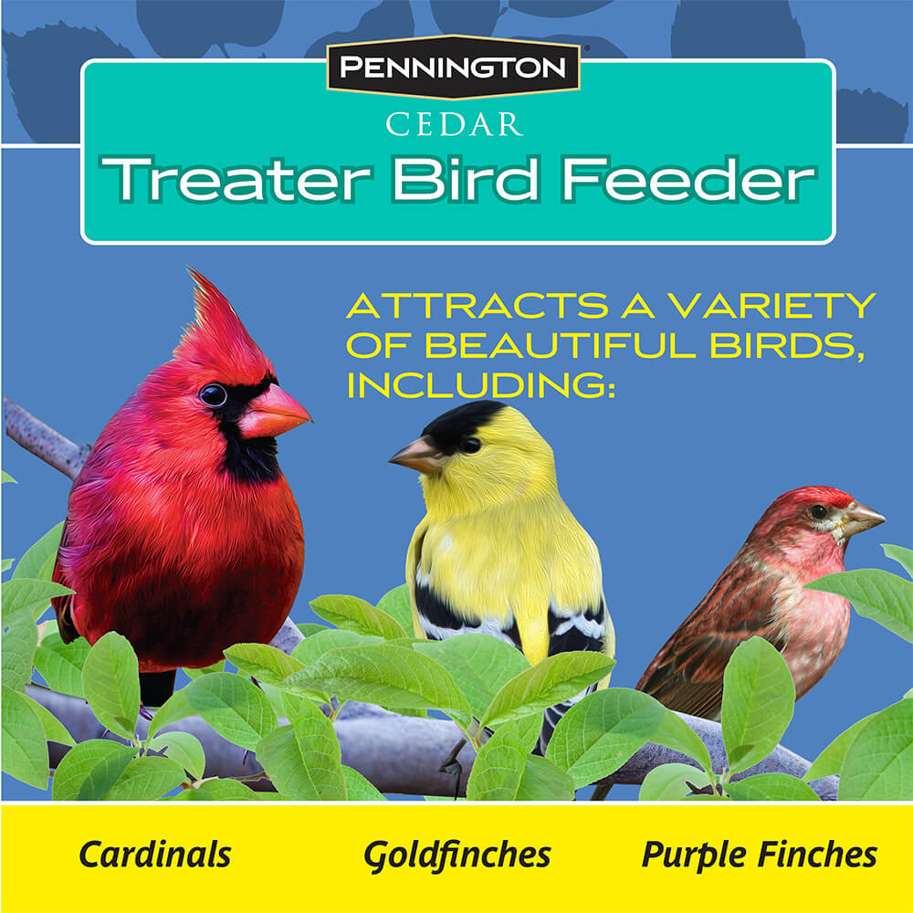 PE-Wildbird-Cedar-Treater_7