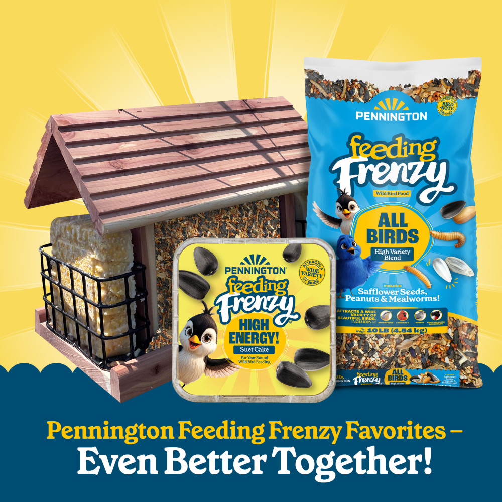 100552128-pennington-feeding-frenzy-all-birds-high-variety-blend-wild-bird-food-10-pounds-10